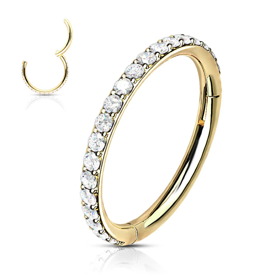 High Quality Precision All 316L Surgical Steel Hinged Segment Hoop Rings with CNC Set CZ Paved Hoop Earring Skin Metals