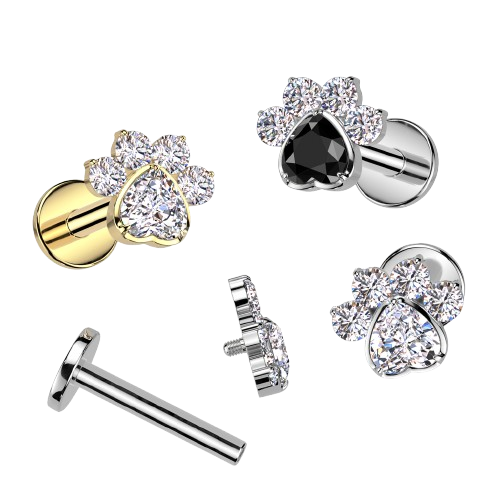 Implant Grade Titanium Internally Threaded Flat Back Stud With CZ Heart And 4 CZ Paw Top Stud Skin Metals