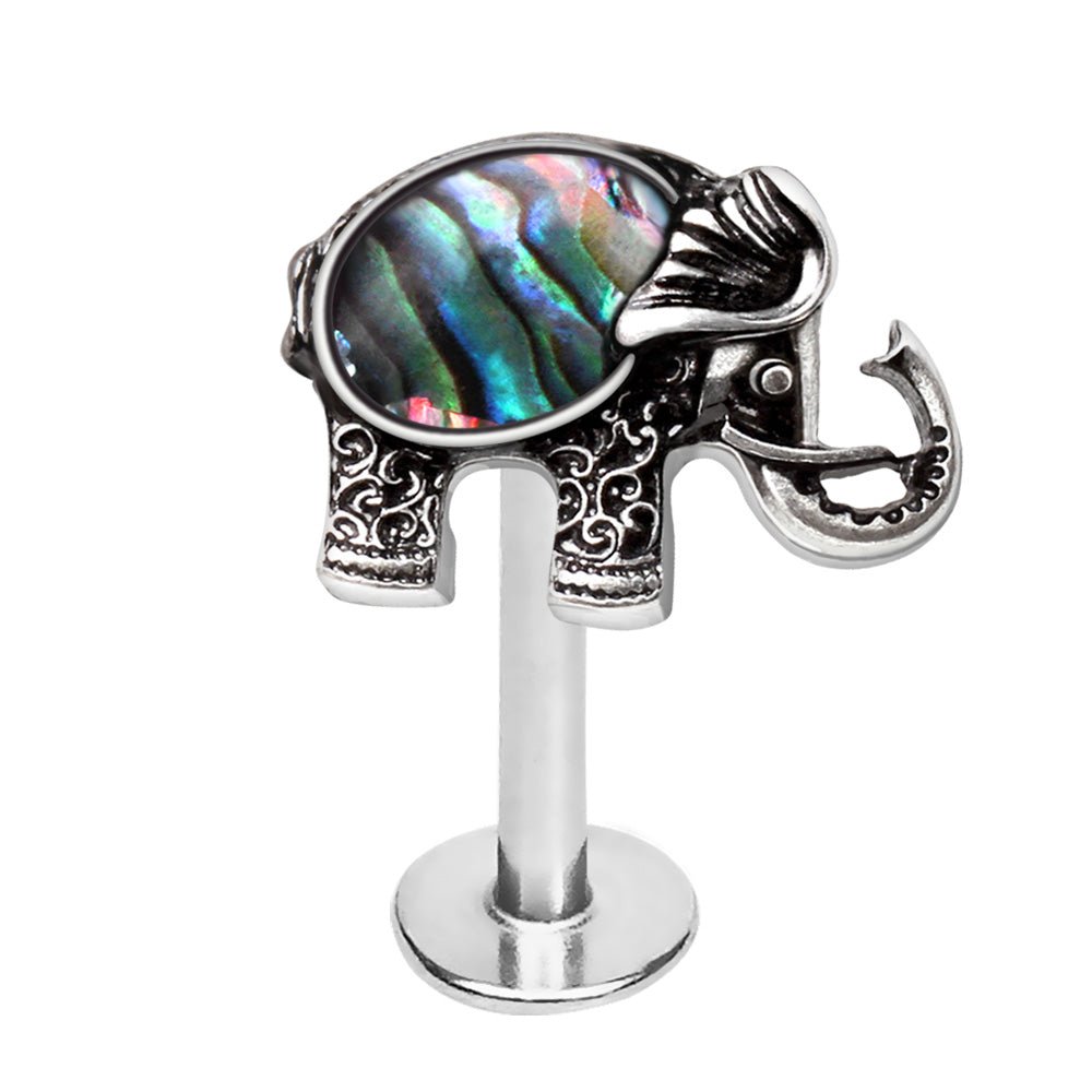 Abalone shell elephant labret stud on white background, 16G natural abalone 316L stainless steel Monroe stud