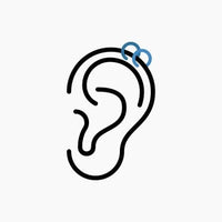 Cartilage