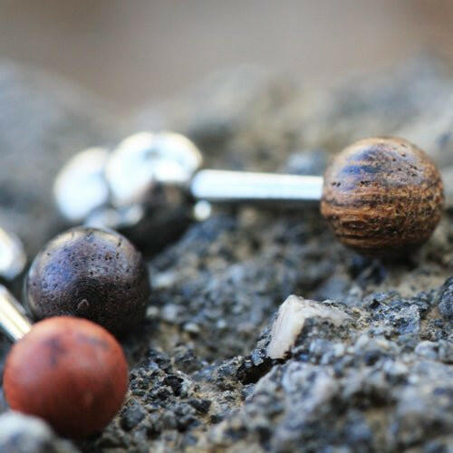 Natural Organic Wood Ball Cartilage Stud Earring Cartilage Impulse Piercings