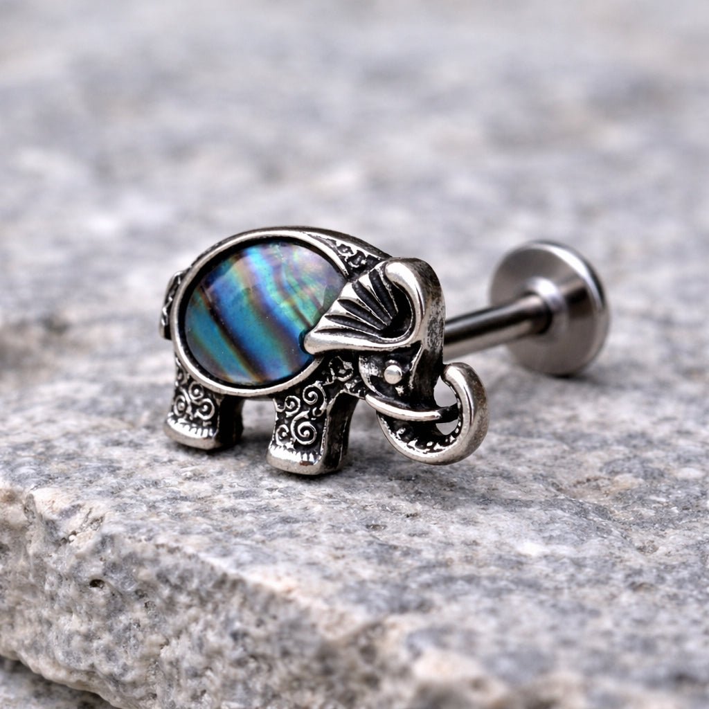 Abalone Shell Elephant Labret styled on model