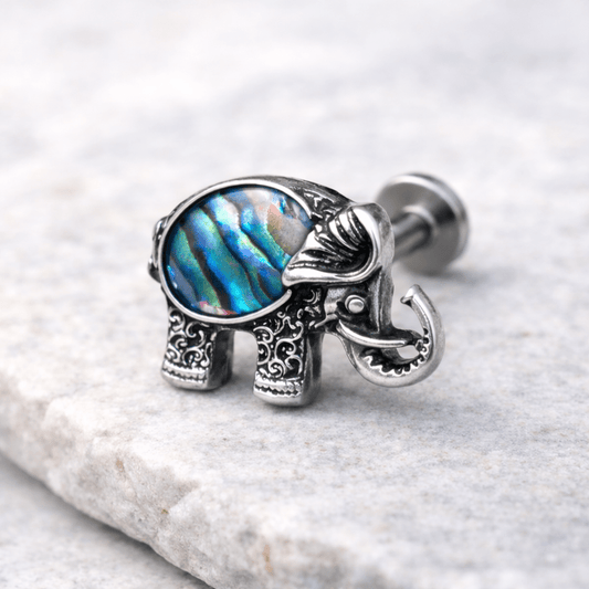 Abalone Elephant Labret shell detail closeup