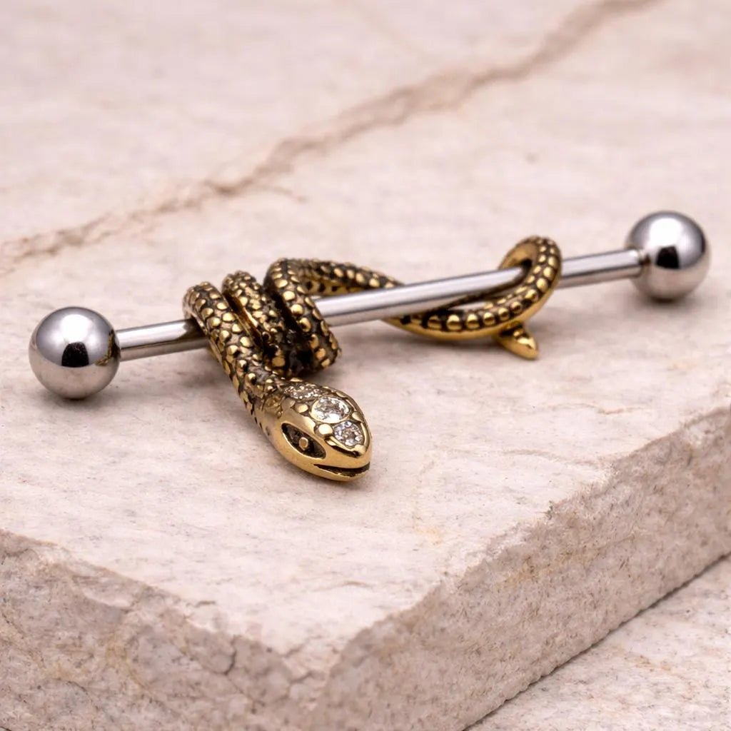 Stainless Steel Antique Snake Industrial Barbell