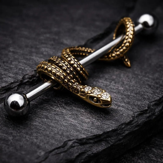 Stainless Steel Antique Snake Industrial Barbell