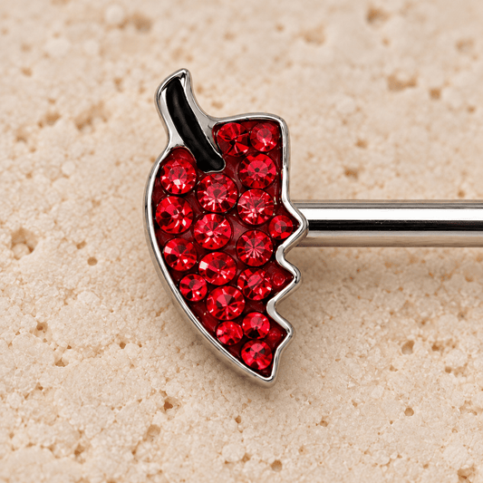 14G Jeweled Devil's Heart Body Jewelry Barbell Pair - Skin Metals