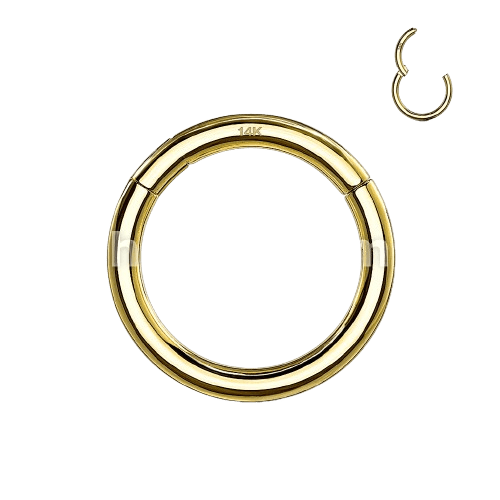 14K Solid Yellow Gold Hinged Segment Hoop Ring Tongue Rings Impulse Piercings
