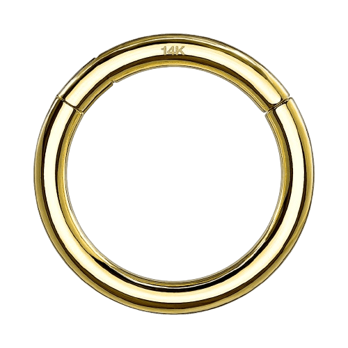 14K Solid Yellow Gold Hinged Segment Hoop Ring Tongue Rings Impulse Piercings