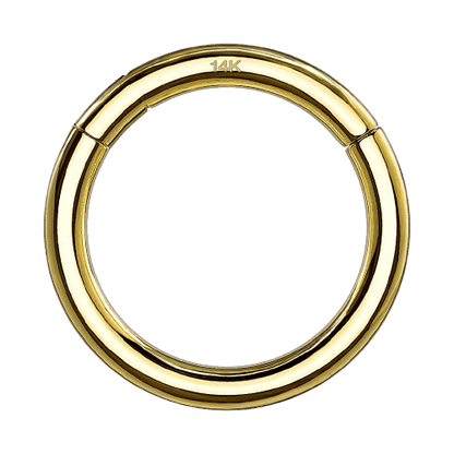 14K Solid Yellow Gold Hinged Segment Hoop Ring Tongue Rings Impulse Piercings