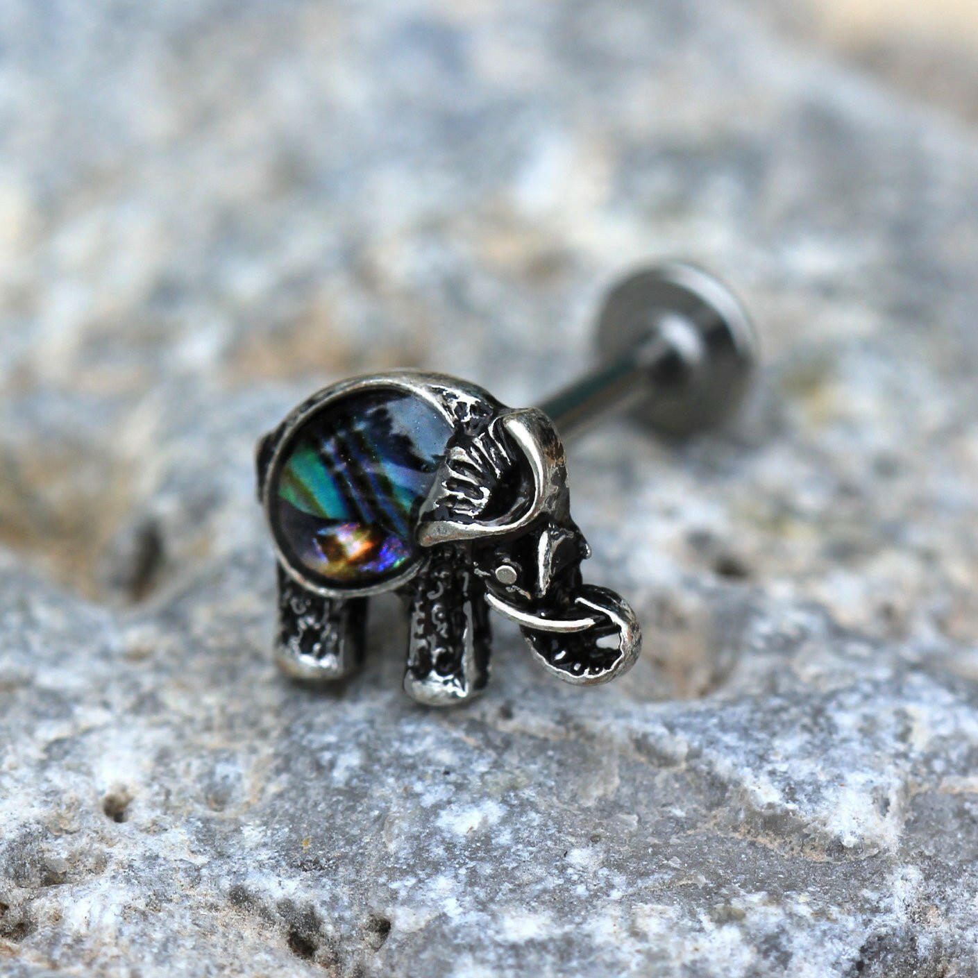 Stainless Steel Abalone Shell Elephant Labret Labret Impulse Piercings