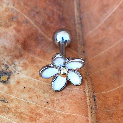 316L Surgical Steel Sweet White Daisy Cartilage Earring Cartilage Impulse Piercings