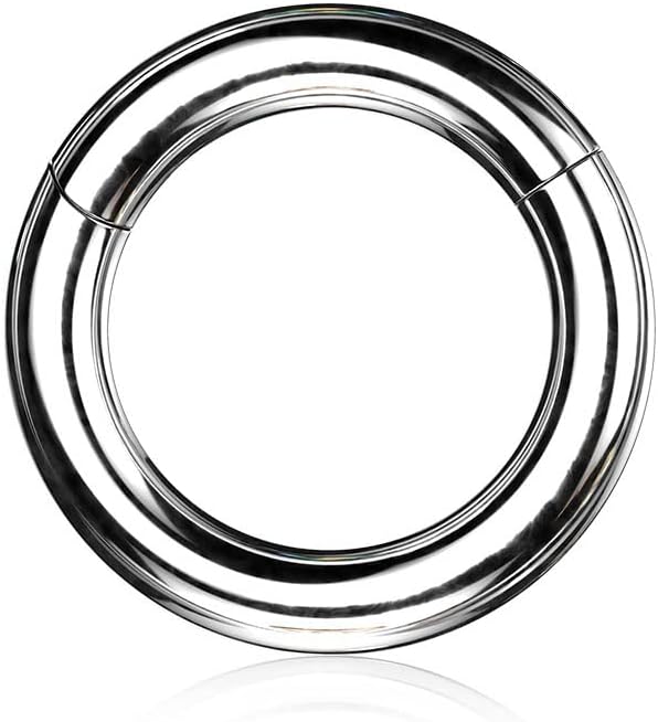 316L Surgical Steel Large Gauge Hinged Clicker Segment Ring Clicker Ring Skin Metals