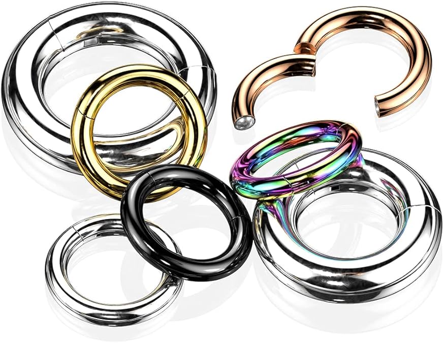 316L Surgical Steel Large Gauge Hinged Clicker Segment Ring Clicker Ring Skin Metals