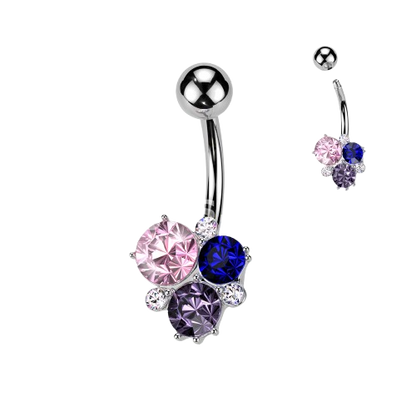 Surgical Steel Multicolor Gem Cluster Belly Button Ring Belly Button Ring Impulse Piercings Steel