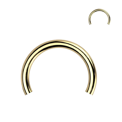 Implant Grade Titanium Internally Threaded Horseshoe Circular Barbell Pins Circular Barbell Skin Metals