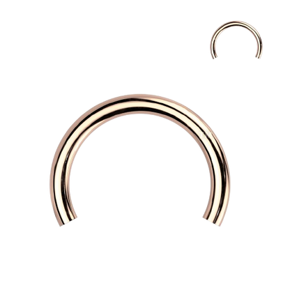 Implant Grade Titanium Internally Threaded Horseshoe Circular Barbell Pins Circular Barbell Skin Metals