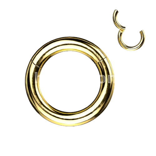 316L Surgical Steel Large Gauge Hinged Clicker Segment Ring Clicker Ring Skin Metals