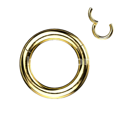 316L Surgical Steel Large Gauge Hinged Clicker Segment Ring Clicker Ring Skin Metals
