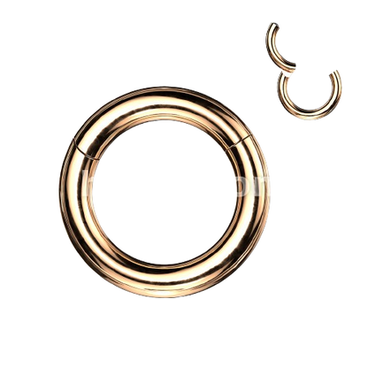 316L Surgical Steel Large Gauge Hinged Clicker Segment Ring Clicker Ring Skin Metals