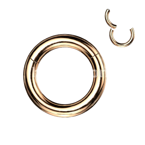 316L Surgical Steel Large Gauge Hinged Clicker Segment Ring Clicker Ring Skin Metals