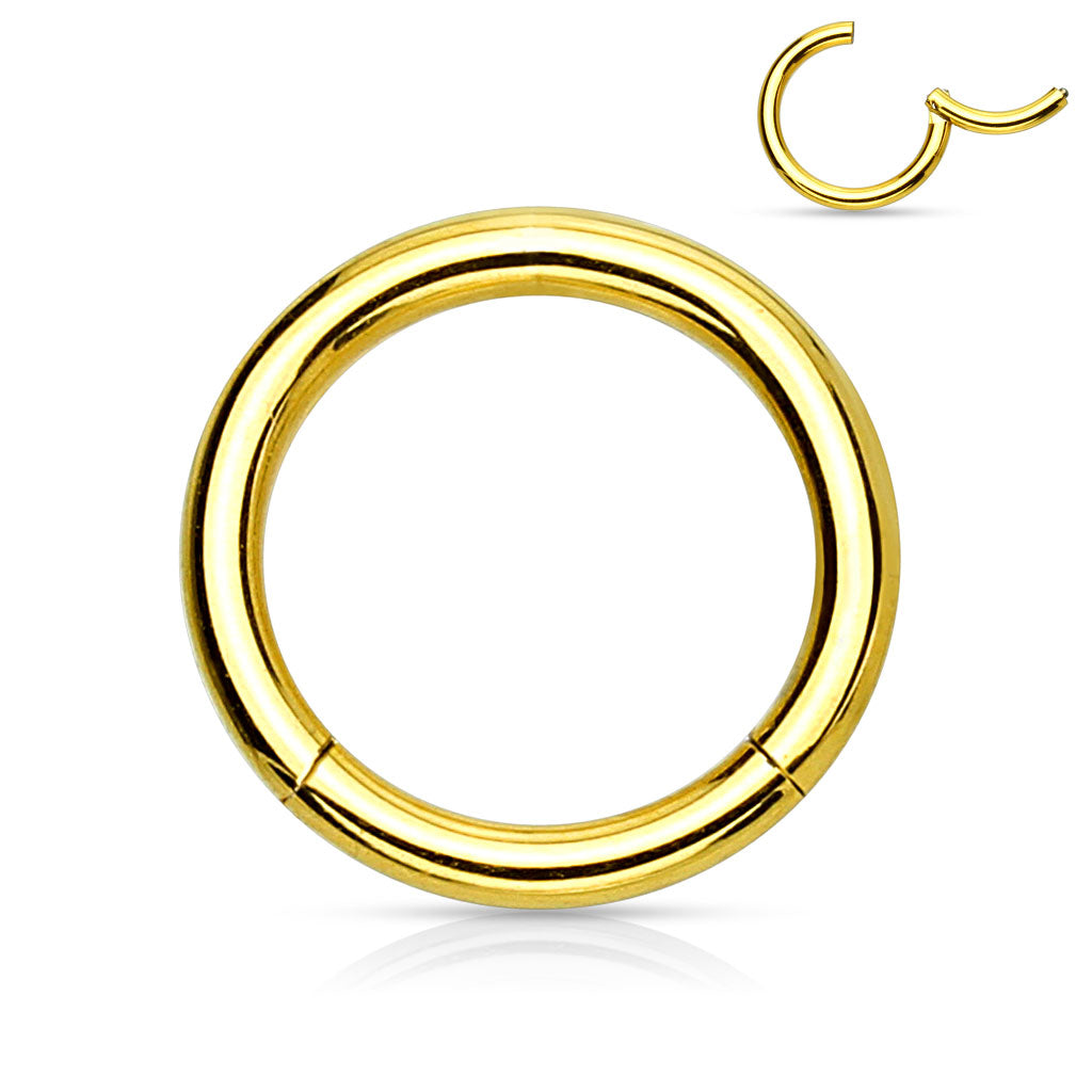 PVD Over High Quality Precision Surgical Steel Hinged Segment Hoop Rings Septum Ring Skin Metals