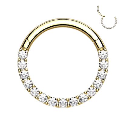 High Quality Precision All 316L Surgical Steel Hinged Segment Hoop Rings with CNC Set Front Facing CZ Paved Tongue Rings Impulse Piercings