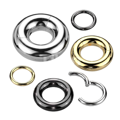 Implant Grade Titanium Large Gauge Hinged Segment Ring Tongue Rings Impulse Piercings