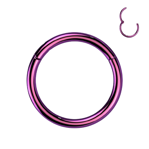 Implant Grade Titanium PVD Plated Hinged Segment Hoop Ring Hinged Ring Skin Metals