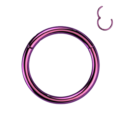 Implant Grade Titanium PVD Plated Hinged Segment Hoop Ring Hinged Ring Skin Metals