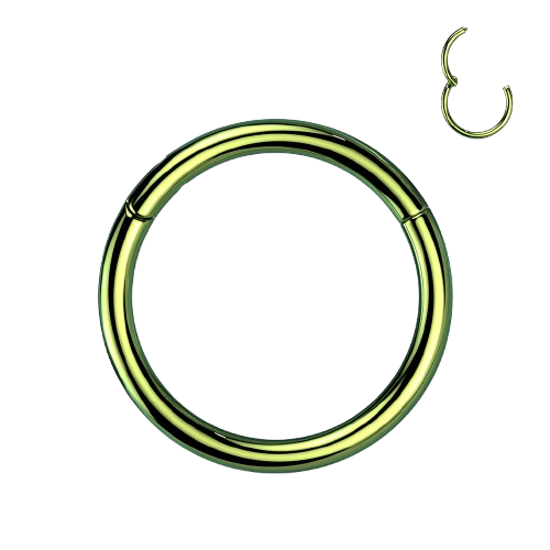 Implant Grade Titanium PVD Plated Hinged Segment Hoop Ring Hinged Ring Skin Metals