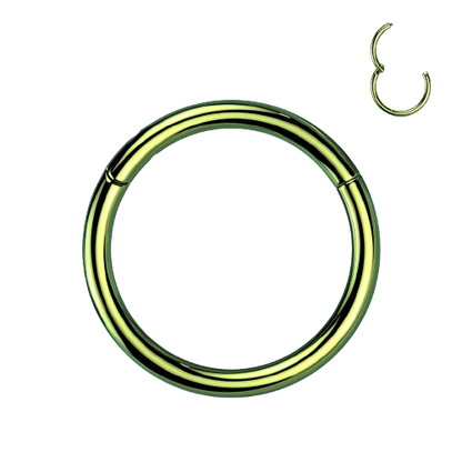 Implant Grade Titanium PVD Plated Hinged Segment Hoop Ring Hinged Ring Skin Metals