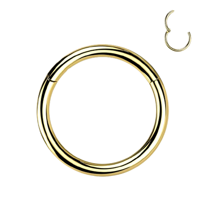 Implant Grade Titanium PVD Plated Hinged Segment Hoop Ring Hinged Ring Skin Metals
