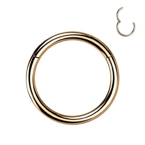 Implant Grade Titanium PVD Plated Hinged Segment Hoop Ring Hinged Ring Skin Metals