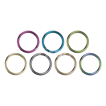 Implant Grade Titanium PVD Plated Hinged Segment Hoop Ring Hinged Ring Skin Metals