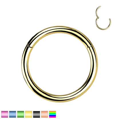 Implant Grade Titanium PVD Plated Hinged Segment Hoop Ring Hinged Ring Skin Metals