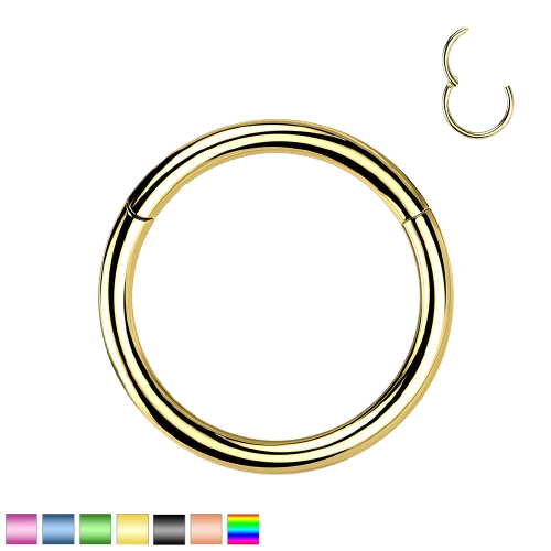 Implant Grade Titanium PVD Plated Hinged Segment Hoop Ring Hinged Ring Skin Metals