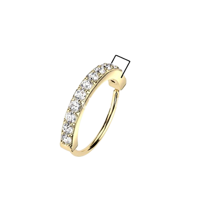 Single Lined Half Circle with Embedded CZ Bendable Hoop Hoop Earring Skin Metals