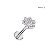 Implant Grade Titanium Internally Threaded Flat Back Stud With CZ Heart And 4 CZ Paw Top Stud Skin Metals Clear 1/4" (6mm)
