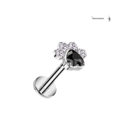 Implant Grade Titanium Internally Threaded Flat Back Stud With CZ Heart And 4 CZ Paw Top Stud Skin Metals Black/Clear 1/4" (6mm)