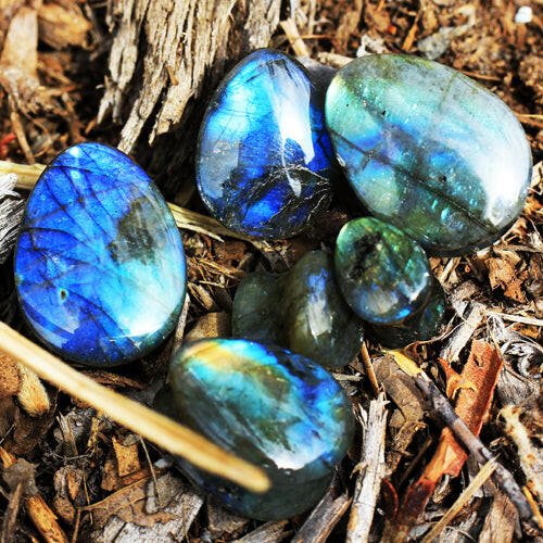 Radiant AAA Grade Labradorite Teardrop Double Flare Ear Plugs Plugs Impulse Piercings