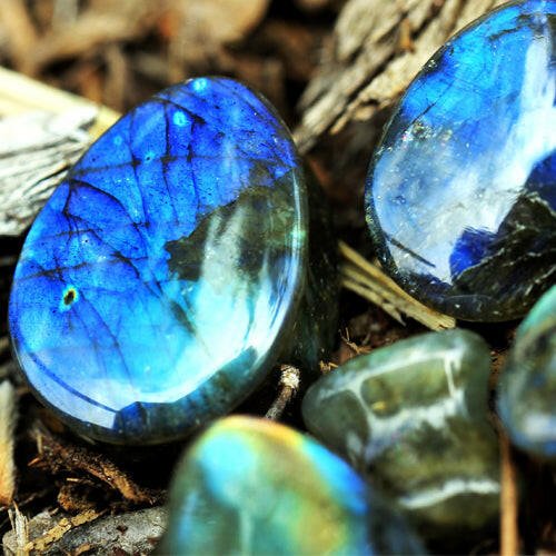 Radiant AAA Grade Labradorite Teardrop Double Flare Ear Plugs Plugs Impulse Piercings