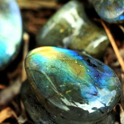 Radiant AAA Grade Labradorite Teardrop Double Flare Ear Plugs Plugs Impulse Piercings