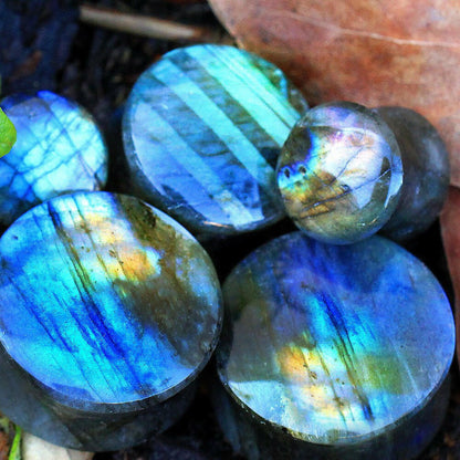 AAA Grade Natural Labradorite Stone Saddle Plug Plugs Impulse Piercings