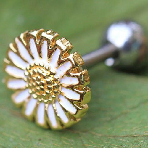 Gold Plated Wild Yellow Daisy Cartilage Earring Cartilage Earring Impulse Piercings