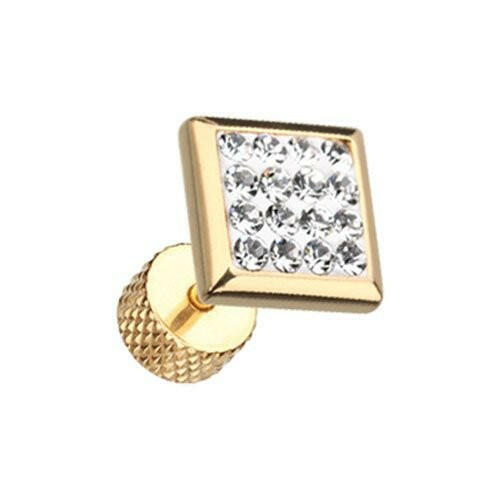 Golden Square Multi-Sprinkle Dot Multi Gem Steel Fake Plug Fake Plug Impulse Piercings 18 gauge (1mm) Clear