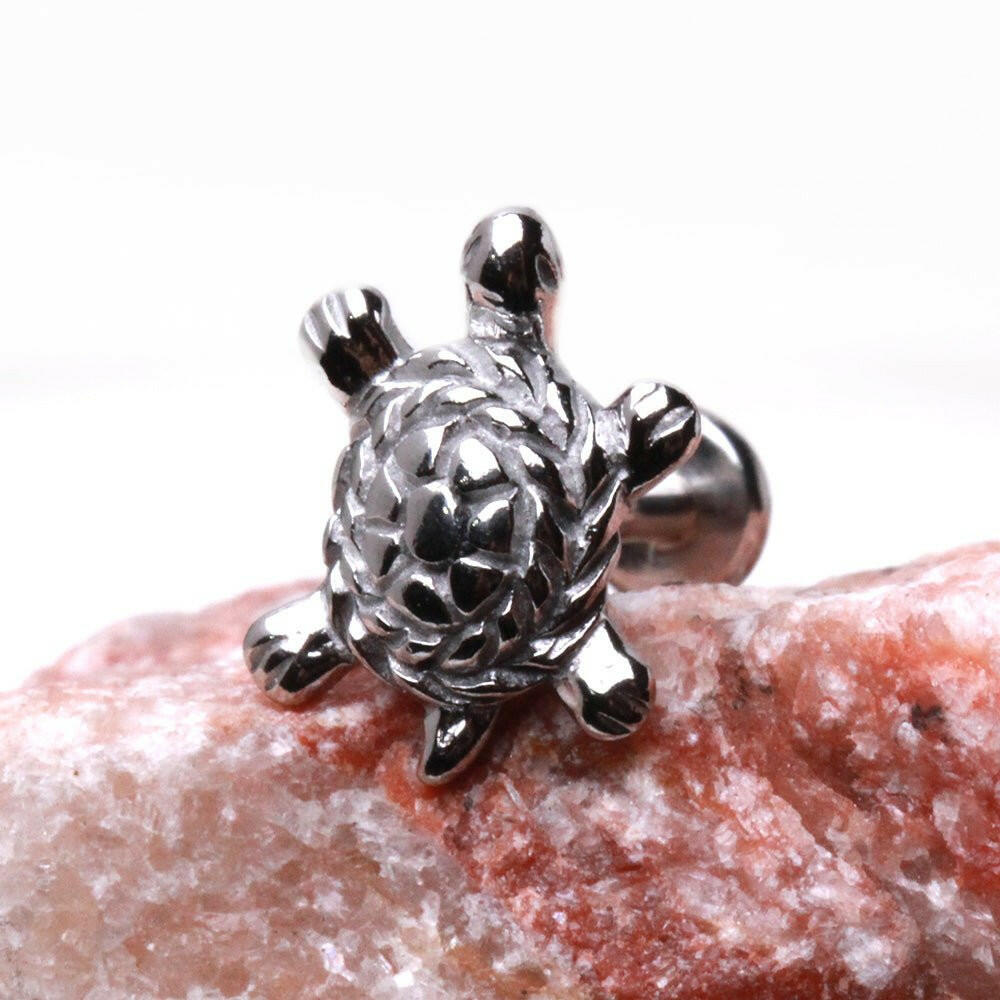 Turtle Labret side profile