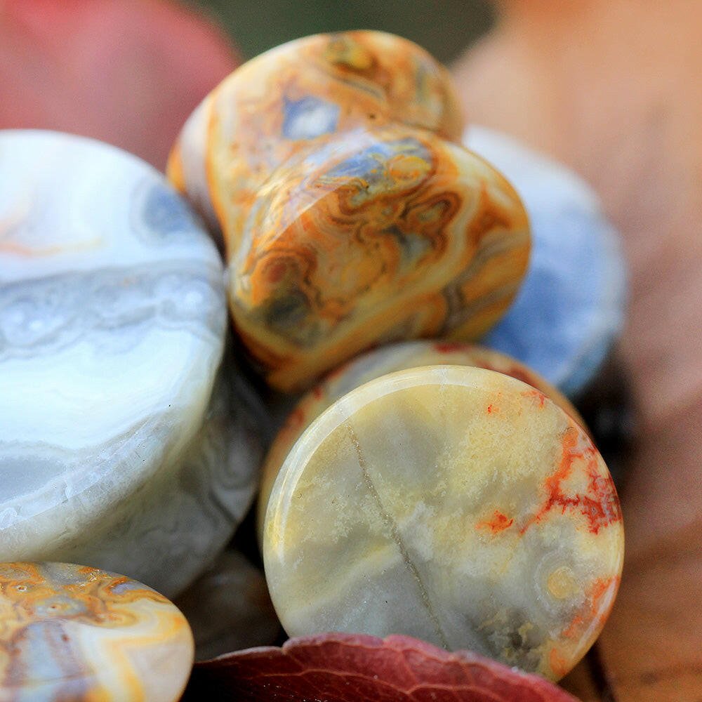 Natural Crazy Lace Agate Stone Saddle Plug Plugs Impulse Piercings