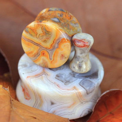 Natural Crazy Lace Agate Stone Saddle Plug Plugs Impulse Piercings