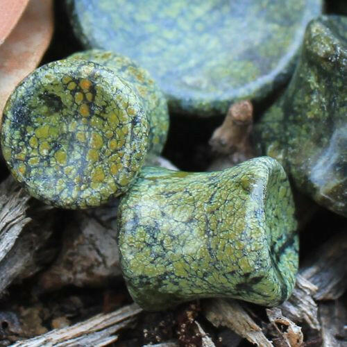 Natural Green Serpentine Concave Stone Saddle Plug Plugs Impulse Piercings