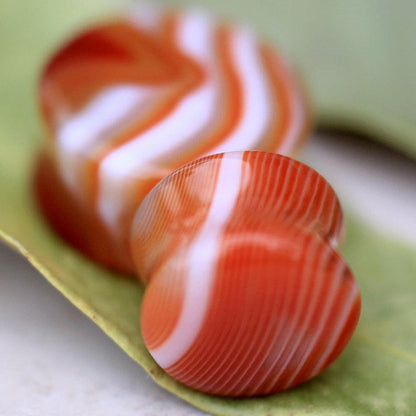 Natural Red Stripe Agate Stone Saddle Plug Plugs Impulse Piercings